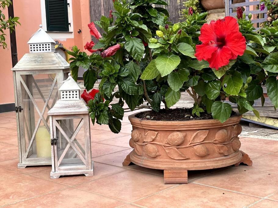 Annali Casa Vacanze - Shabby Style Nella Natura 斯培西亚 外观 照片
